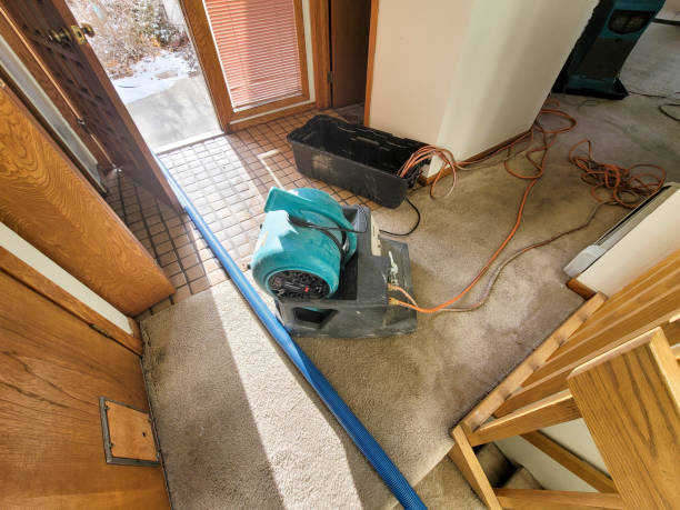 Trusted Lincoln, MO Water damage restoration Experts