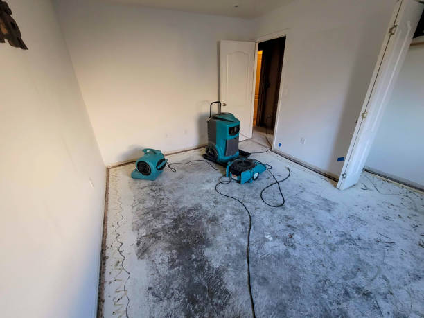 Best Water damage restoration near me  in Lincoln, MO