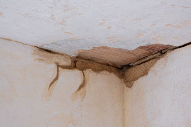Best Commercial water damage restoration  in Lincoln, MO