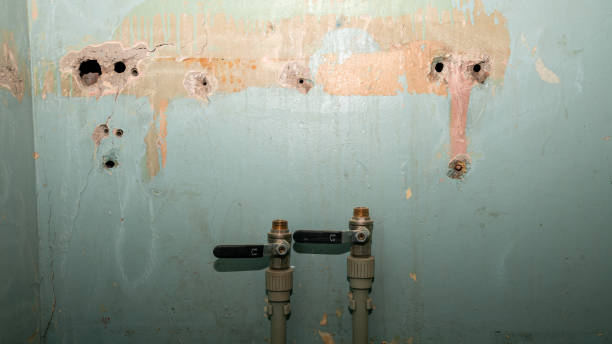 Best Flooded house restoration  in Lincoln, MO