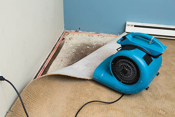 Best Basement water damage restoration  in Lincoln, MO